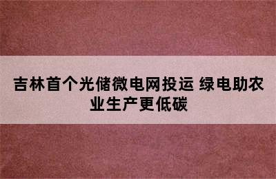 吉林首个光储微电网投运 绿电助农业生产更低碳